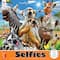 Assorted Ceaco® Animal Selfies Jigsaw Puzzle